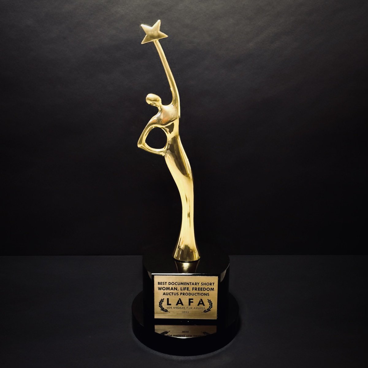 auctuspro's tweet photo. 🏆 WINNER 🏆 Woman, Life, Freedom I Iran's Revolution Amidst the World Cup has won Best Documentary Short at the Los Angeles Film Awards @lafilmawards https://t.co/RA7wLmZ2mI