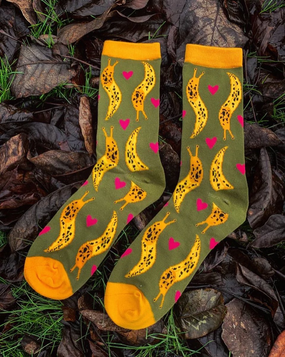 Alena Ebeling-Schuld (Owl & Bear Studio) tweet media