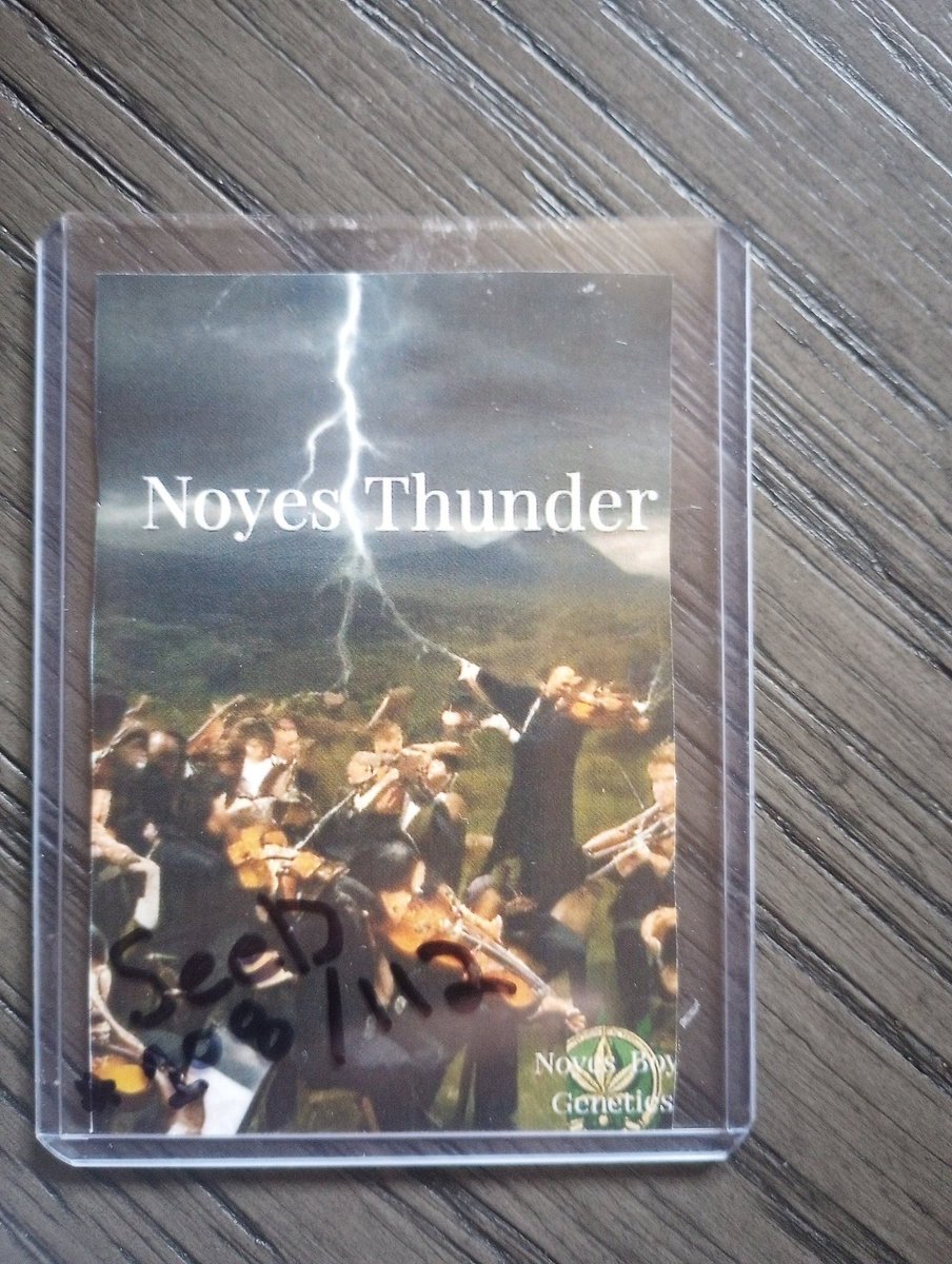 The_Noyes_Boys's tweet photo. This is a 1/1 template, 
It's being sent out to a loyal customer just for being awesome
But we want to hear some feedback,
If your bean came with its own numbered "trading card" would you keep it?
What do you think of our first template idea ? 

All Honest feedback welcomed✌️ https://t.co/AEfmO0TTGK