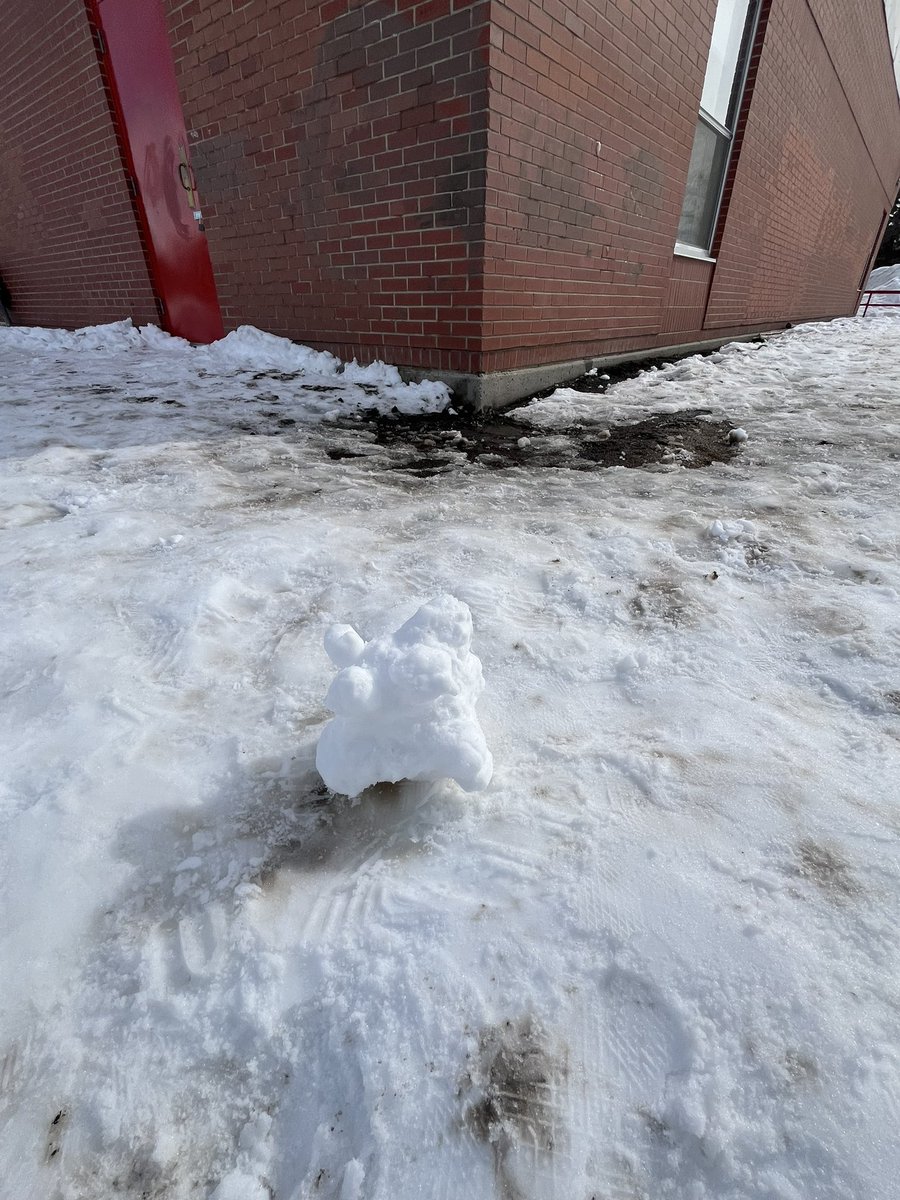 Kristen Nagy tweet media