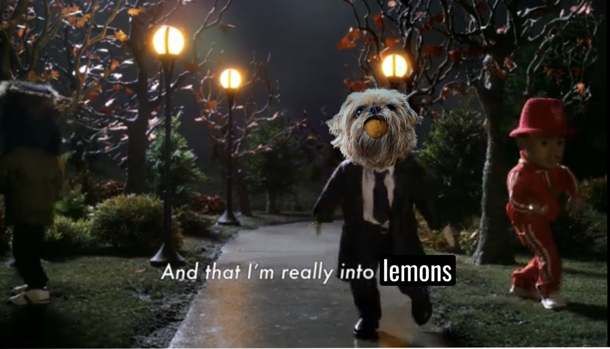 luxatron's tweet photo. This is a joke for @StevConrad, @arp_dept and no one else. 

My dog Grandpa loves carrying lemons around and protects them like they’re his children. https://t.co/AWd20JSyDY