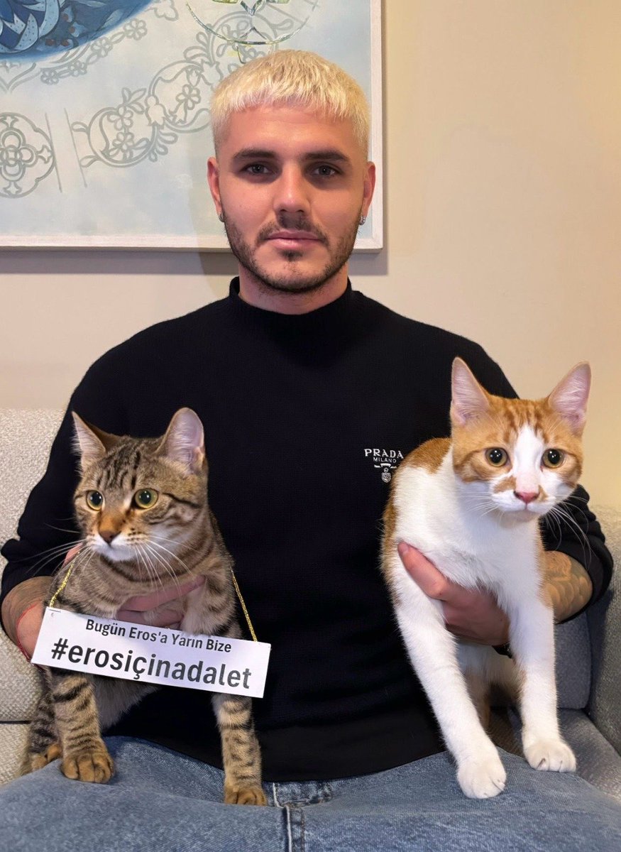 Mauro Icardi, İstanbul'da vahşice katledilen kedi Eros için adalet çağrısında bulundu.