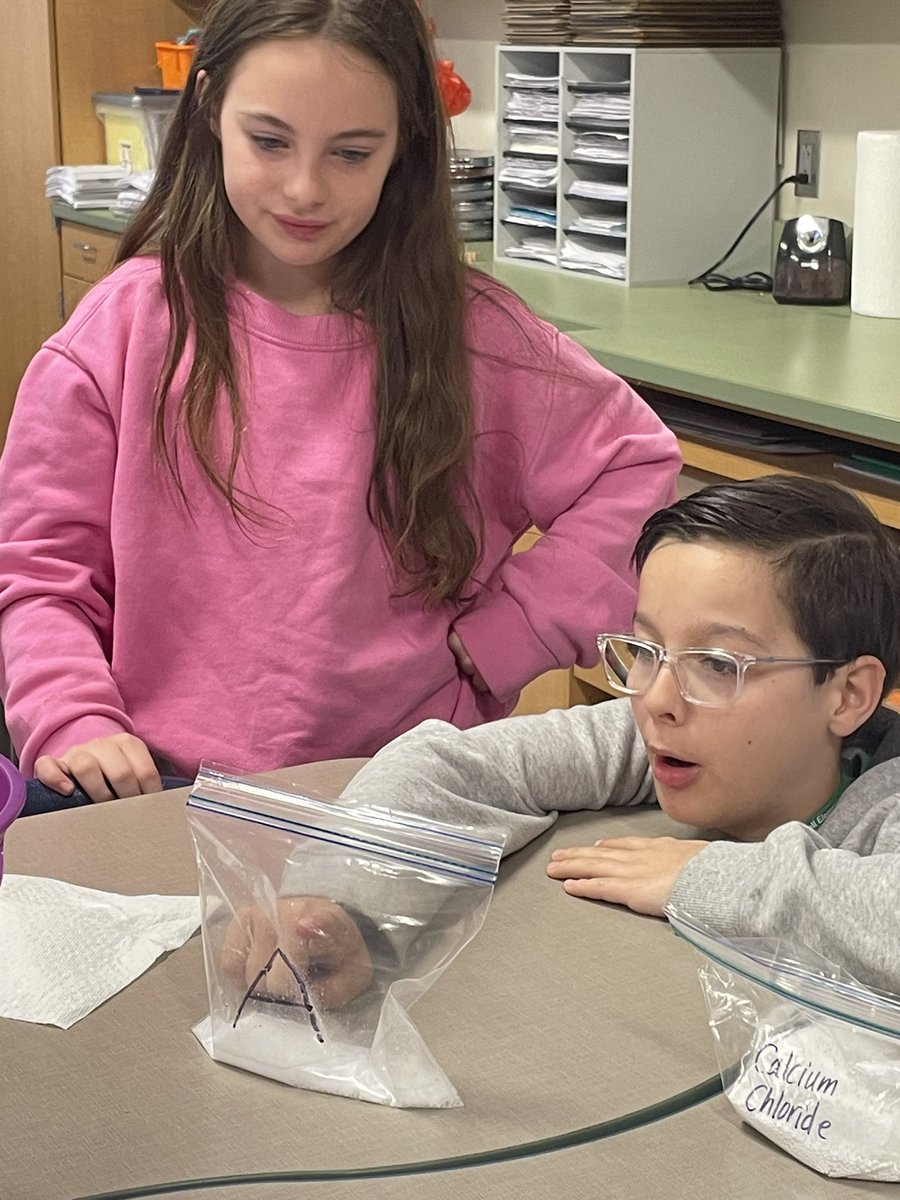 wrodell35's tweet photo. Fifth graders from Ms. Lantzโs class did experiments to identify signs of chemical change! @johannajparker @CabCoSchools #makingmagicatOdell https://t.co/SDcXsR59hd