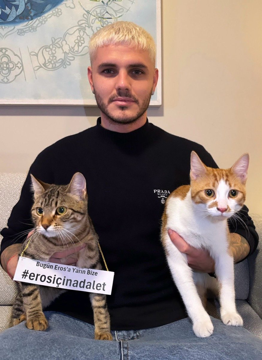 Haber's tweet photo. Mauro Icardi, İstanbul'da İbrahim Keloğlan tarafından vahşice katledilen kedi Eros için adalet çağrısında bulundu. https://t.co/Z8EWFPj9nY