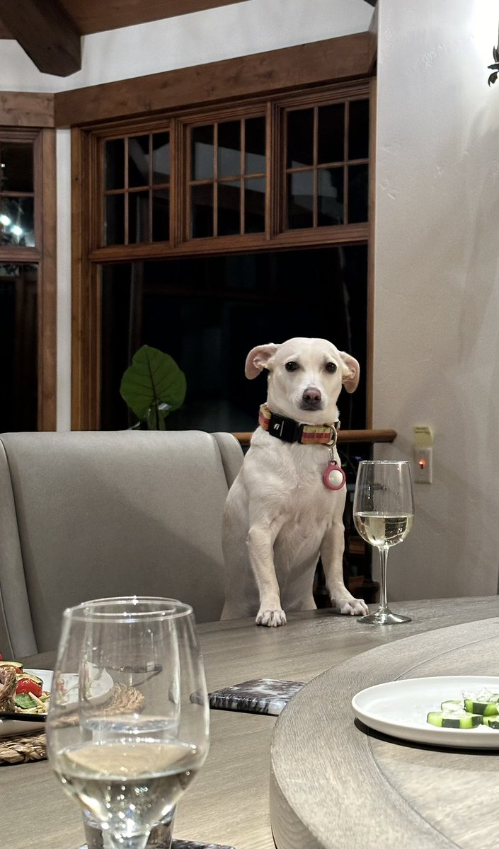 KyleSamani's tweet photo. In addition to shredding, she also has fine taste in wine https://t.co/ihD8gLBkGV