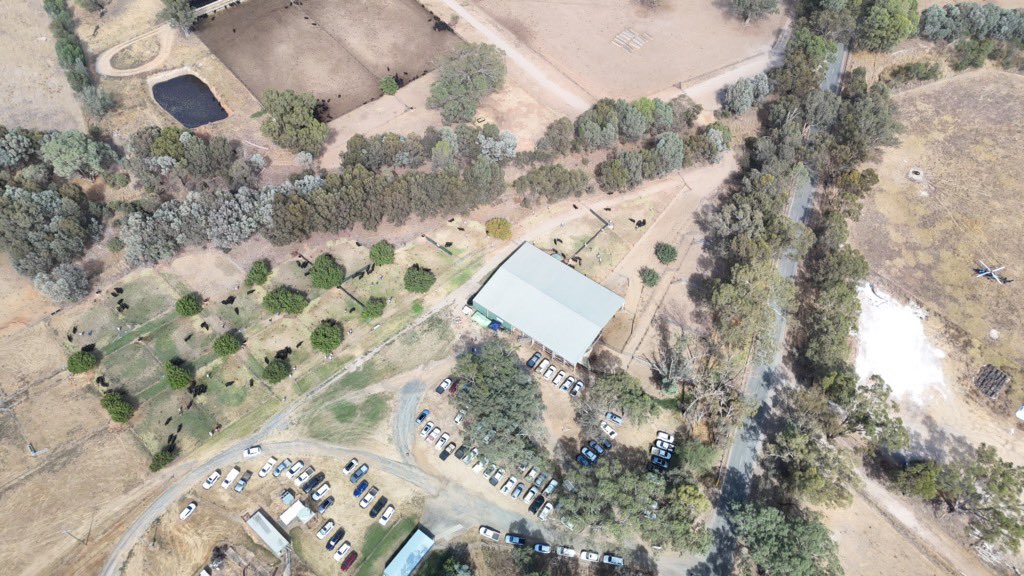 Anthony Corrigan tweet media