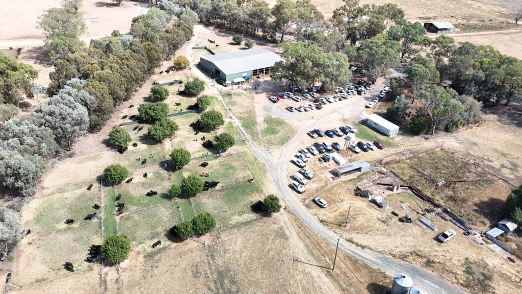 Anthony Corrigan tweet media