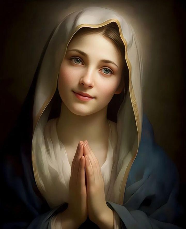 Always pray and never give up. 🌹