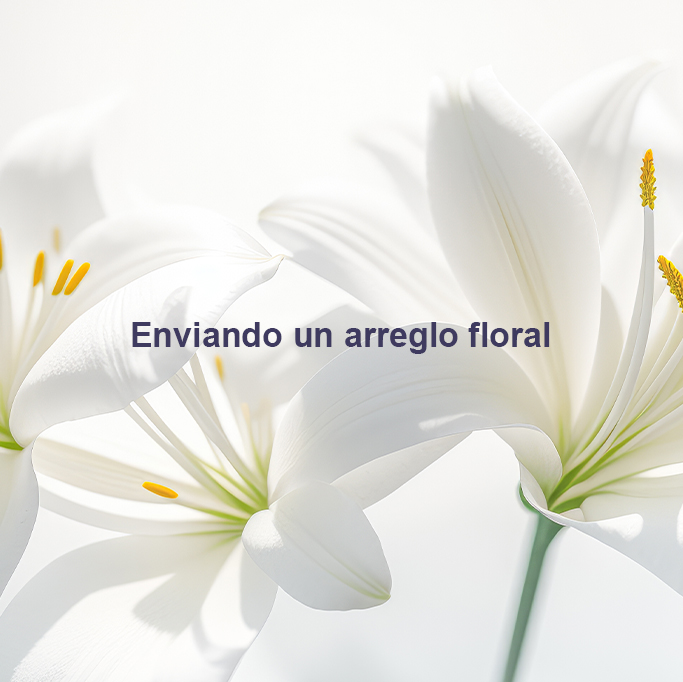 Santa Gloria Velatorios tweet media