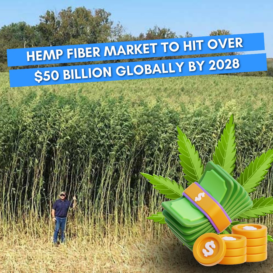 highat9news's tweet image. Exciting projections for the hemp fiber market: expected to surpass $50B by 2028! Stay informed with #HempMarketInsights. 💼🌱 #HempIndustry #MarketProjection
