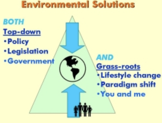 trakhemma's tweet photo. There are many ways to tackle an issue you're passionate about (i.e. advocating for the proper conditions of dog shelters or environmentalism). It's necessary to think through a global and grassroots framework to assess actions that are possible for you to engage in. #39canimals https://t.co/cgrJuwAm81
