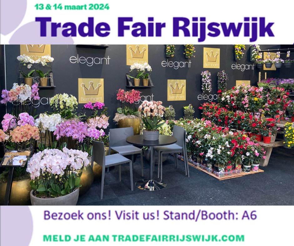 We zijn er klaar voor!
Hartelijk welkom op stand A6 bij Bernhard Patio en Bernhard Orchids <a href="/RFHTradeFair/">Trade Fairs by Royal FloraHolland</a> in BeursHal De BroodFabriek in #Rijswijk.