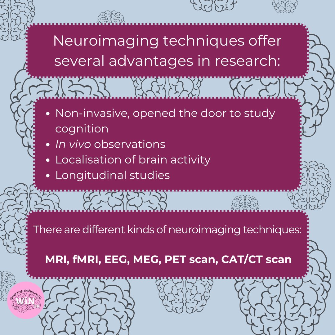 WomeninNeuroUK's tweet photo. Dive into the captivating world of neuroscience with the power of neuroimaging! 🧠✨

🧵 1/3 https://t.co/FhvaGRGtWH