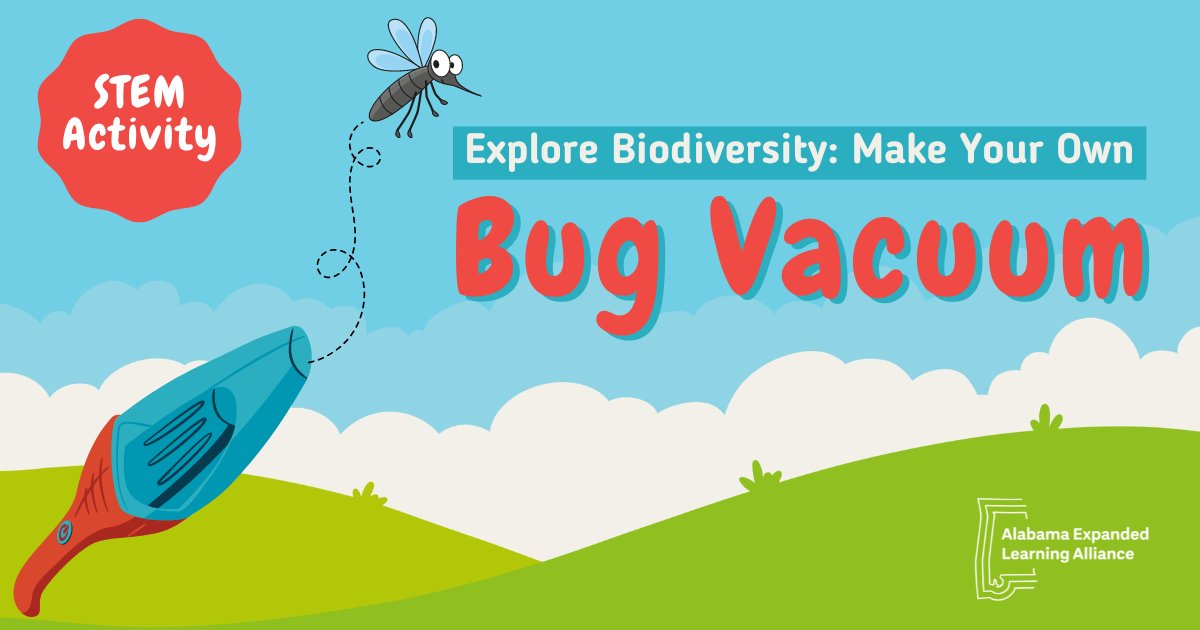 🐜Explore #Biodiversity Using a Homemade Bug Vacuum! is a fun activity for kids to discover the world of bugs and invertebrates in their neighborhood. By creating a bubble vacuum, they can examine and learn about these creatures. #STEM sciencebuddies.org/stem-activitie…