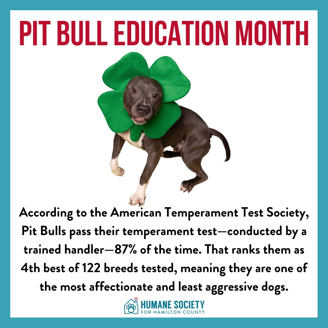 During March, we are hosting Priceless Pitties Adoption Special, where the adopter chooses the adoption fee on all of our pitties 1 year & older! If you are unable to adopt, consider donating to HSHC so we can continue to save this amazing breed. facebook.com/donate/7668074…