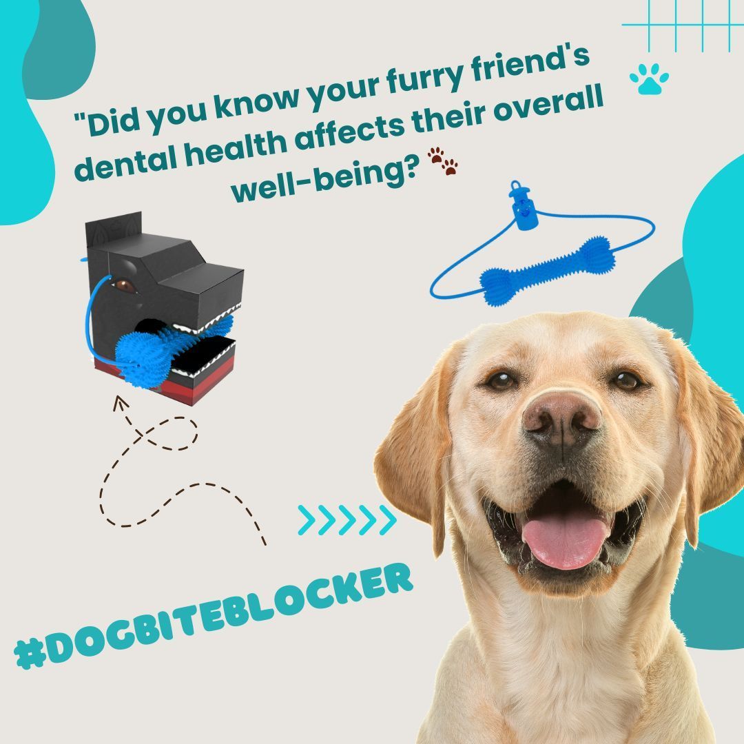 dogbiteblocker's tweet photo. Did you know your furry friend's dental health affects their overall well-being? 🐾  #doglover #cutedog https://t.co/JYlzjTwAfg