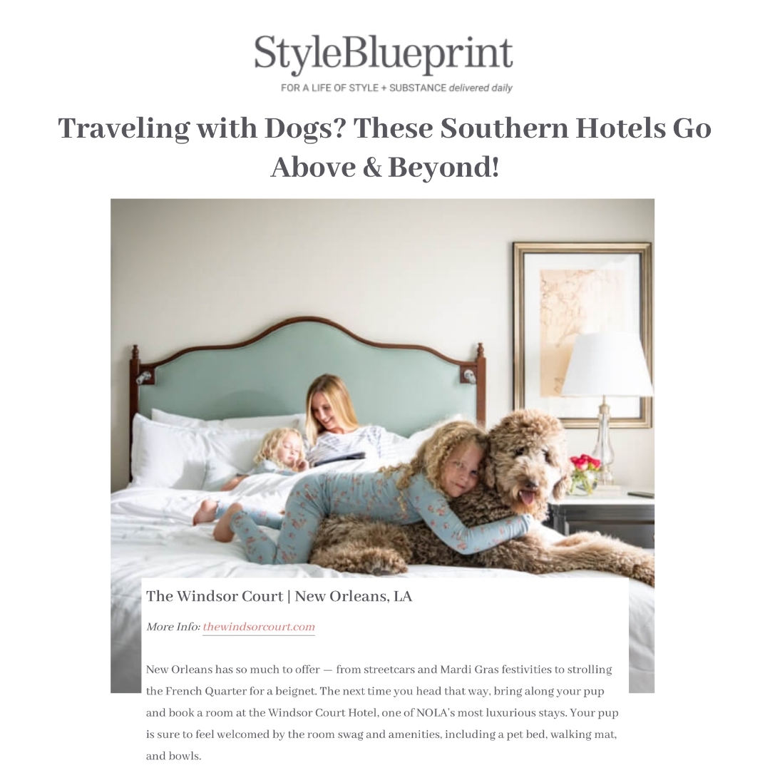 MayfieldGroup's tweet image. #StyleBlueprint has it right....#TheWindsorCourt sure does knows how to make pups (and guests) feel very taken care of 🐾☺️ ⚝ bit.ly/3Pdfu32

#windsorcourthotel #neworleans #nola #nolalove #windsorcourt #petfriendly