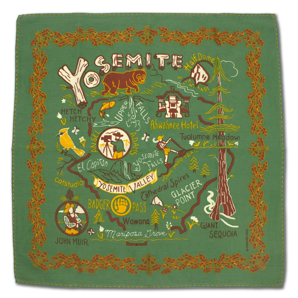 catstudio tweet media