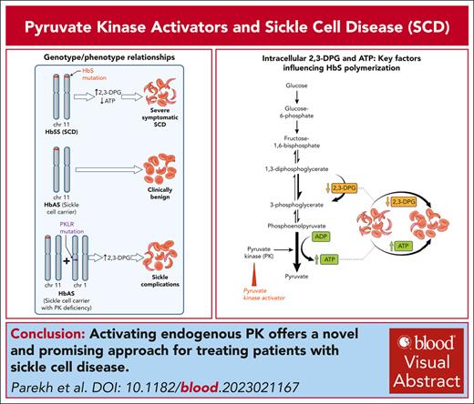 Recent developments in the use of pyruvate kinase activators as a new approach for treating sickle cell disease 
ow.ly/CJzK50QNXwh #bloodspotlight #redcellsironanderythropoiesis #sicklecelldisease #SCD