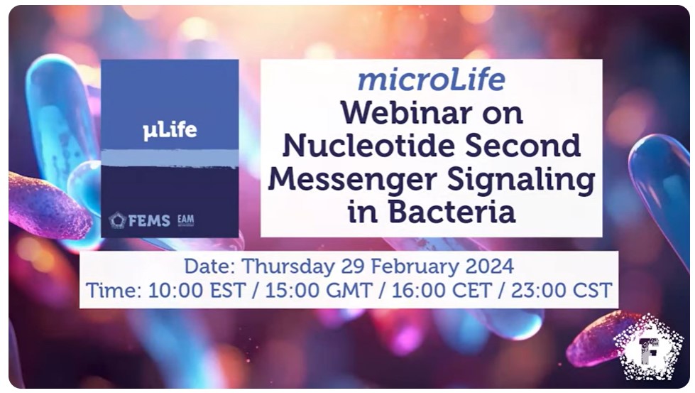Peeref1's tweet image. Authors from the Open Access journal of the @FEMSmicro, @microLifeJrnl, discuss the microscopic realm with this webinar on bacterial nucleotide second messengers: peeref.com/webinars/exter… #microLife @OUPAcademic