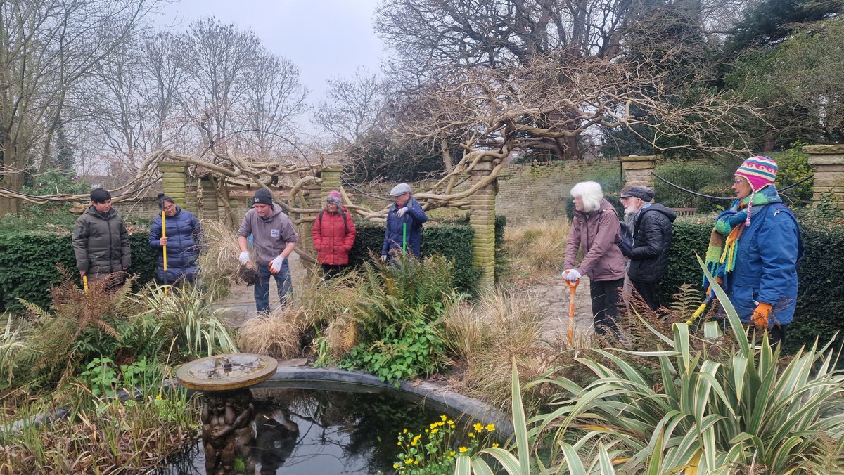 #thanks to the @froglifers #dementiafriendly Wild Timers for their work around the #streathamcommon Rookery Gardens fountain pond ⛲ At The Rookery we balance #heritage/ #horticulture with ecology/ #community We hope dense planting will protect the #wildlife breeding there 💚