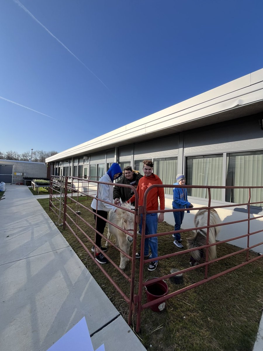 KRKester's tweet photo. Students in #IntrotoAnimalScience stepped up to the plate today and cared for the animals while #AdvAnimalScience students were testing! Great job everyone! @azuck1 @amystellanbc @EmerMatt @nbc_hsprincipal @NBC_FFA https://t.co/e5mQRfj7F4
