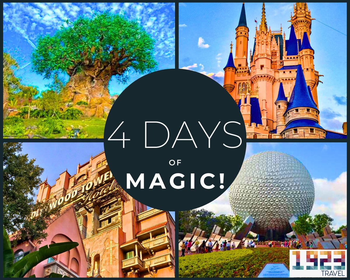 🏰 Magic MONDAY!🏰
🔔WALT DISNEY WORLD TICKET PROMOTION ALERT!
🎟️Enjoy 4 days of magic and some thrills across the Walt Disney World parks when you purchase a SPECIALLY PRICED 4-Park Magic Ticket starting from $99.00!!
#disneydeal #disneypromo #disneytravelplanners #travelagency