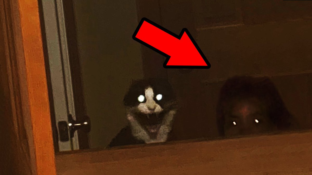 Nuke's Top 5 tweet media