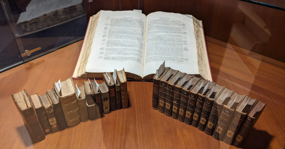 Stop by the Law Library's rare book display to see our collection of tiny law books!