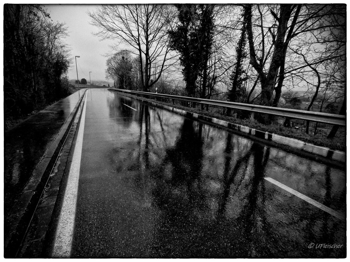 Rain
#rain #blackandwhitephotography #blackandwhite #bw #streetphotography