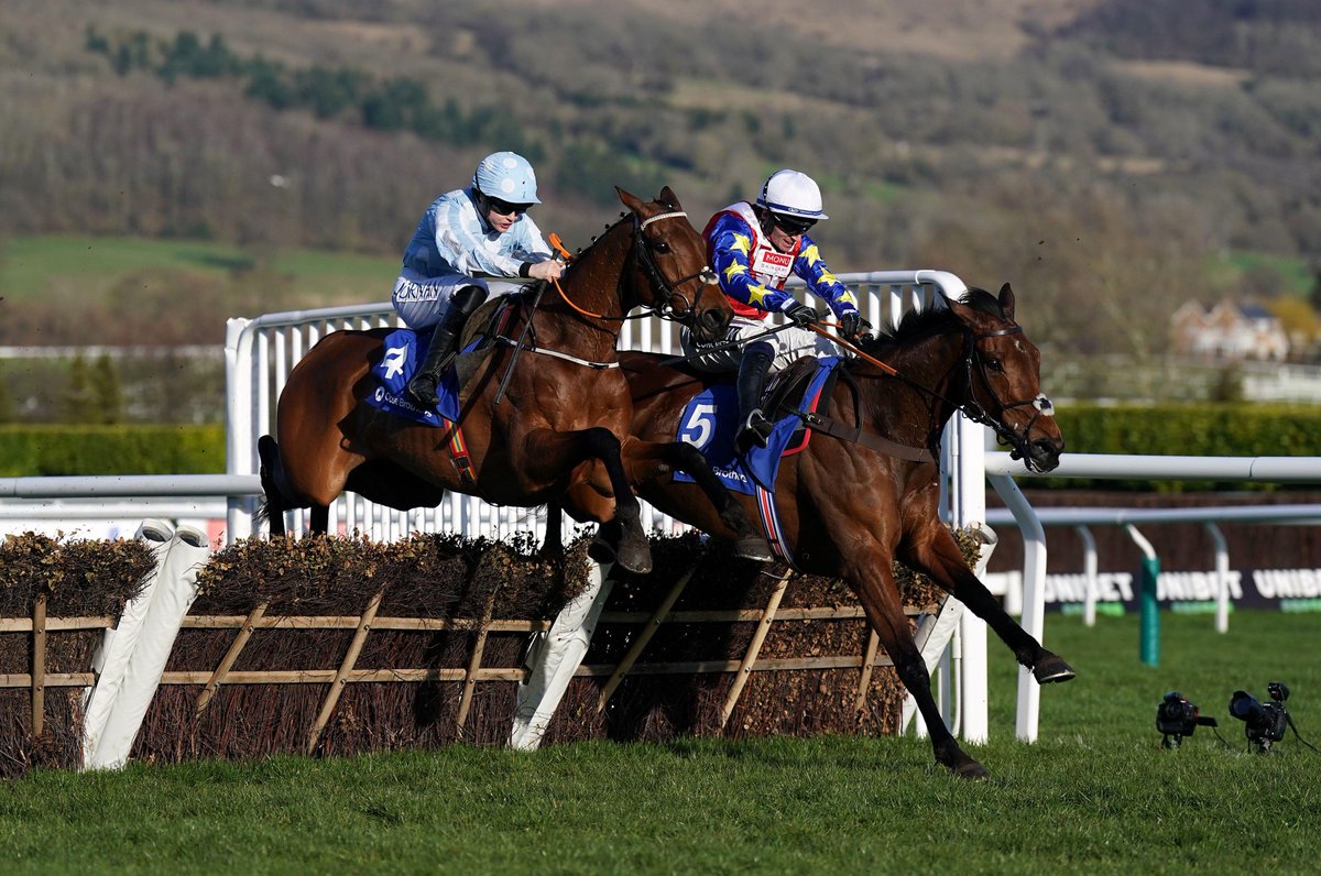 HarryFryRacing1's tweet image. Thank you LOVE ENVOI 🥰

You optimised everything  this sport is about for the Noel Fehily Racing Syndicate, you wore your heart on your sleeve and danced every dance. 

Here's to a long and happy retirement. A big shout out to Jess French who looked after her throughout her…