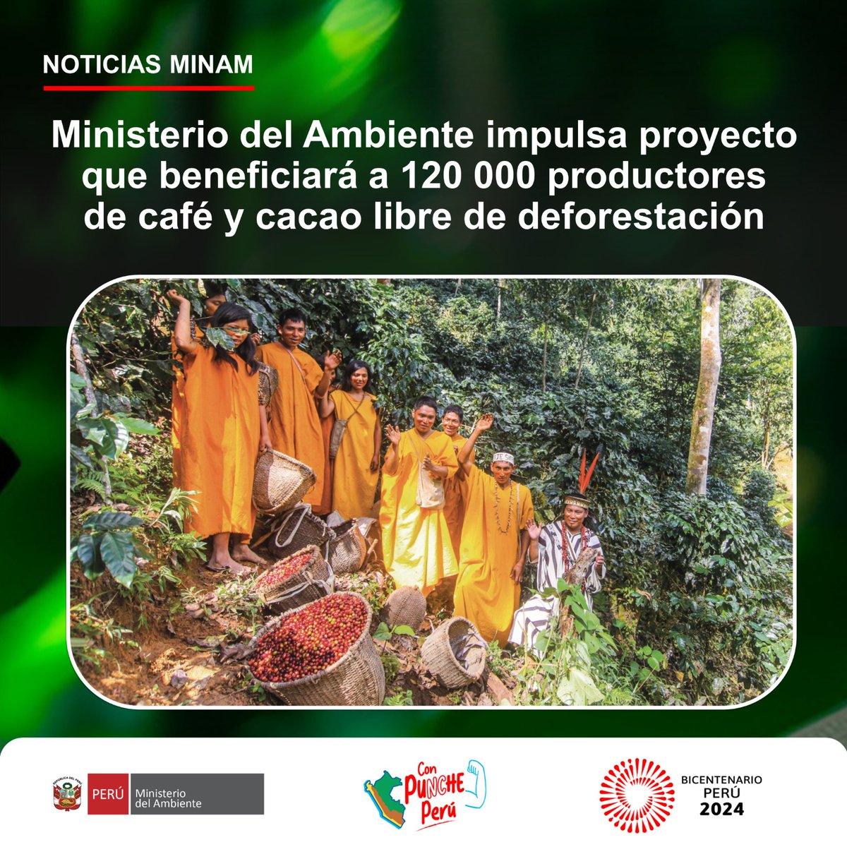 MinamPeru's tweet photo. 📢 #NotasMinam | A través del Proyecto FOLUR se busca reducir la deforestación y degradación de suelos en nuestra Amazonía, con una inversión aproximada de US$ 13 500 000.
📲 Leer más ➡️ https://t.co/pstKdvmImh https://t.co/YZO2Xn7Fl9
