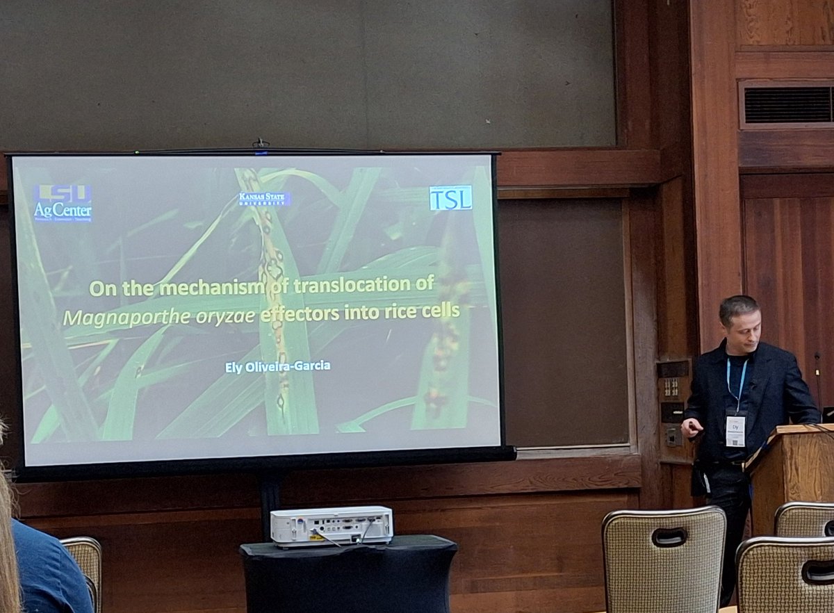 ThorstenLangner's tweet photo. Now up #magnafest is our session chair Ely Oliveira-Garcia talking about effector translocation in magnaporthe rice interactions. https://t.co/FA6xwVWCew