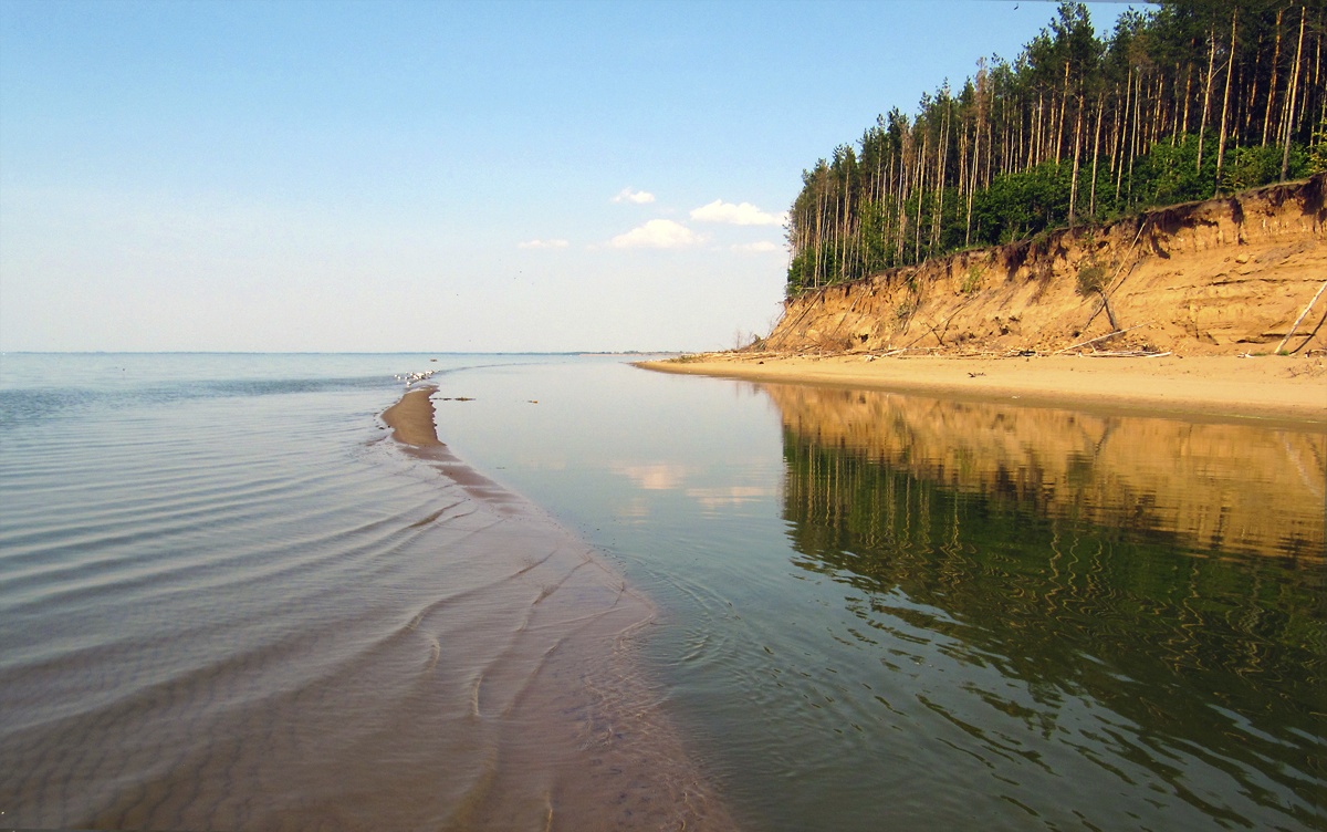 prohodite mimo (@mut_abor) on Twitter photo 