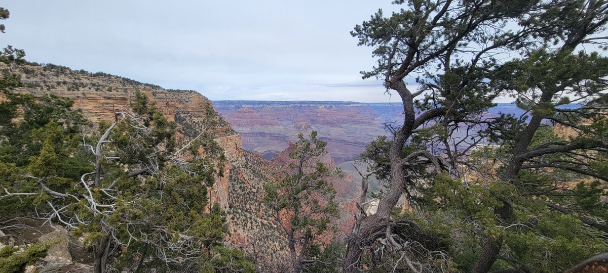 RedheadsLife's tweet image. So, @modii101 &amp;amp; I are finally seeing the Grand Canyon!!