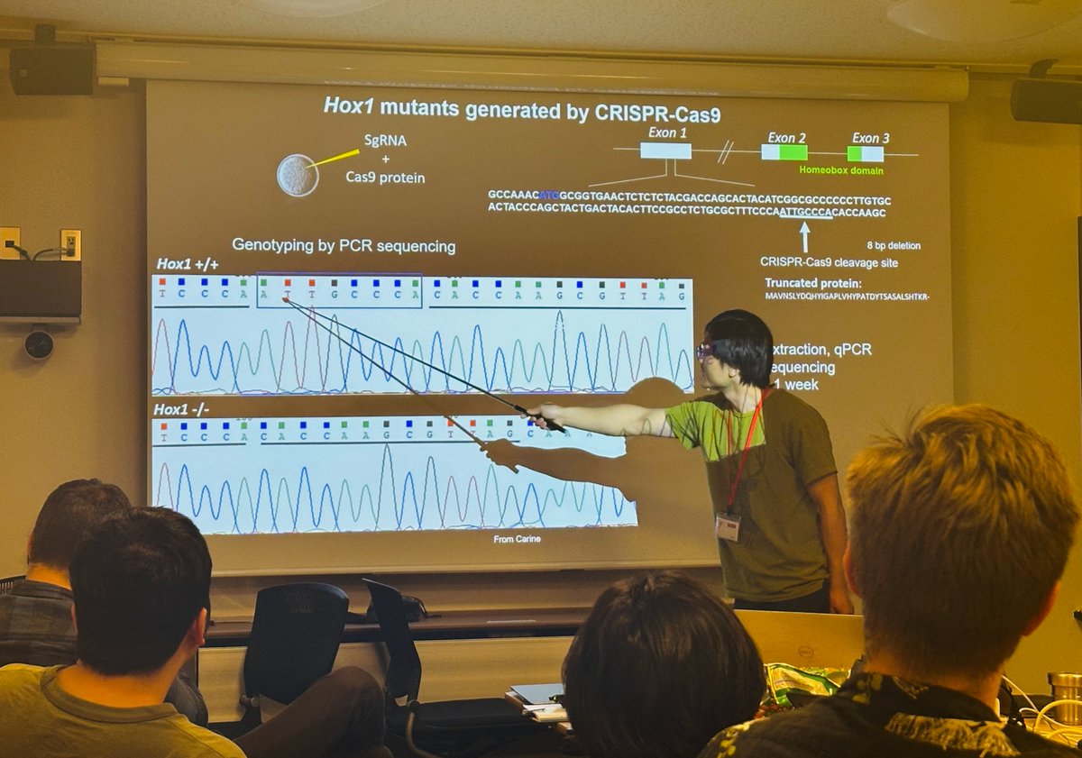 We are so proud of our postdoc @maxiaofei320 who is uncovering the role of Hox proteins in O. dioica - Norway. CRISPR-Cas9 mutants, generated in collaboration with @CarineLG29, exhibit striking phenotypes during development. @UiB @MSarsCentre @OISTedu