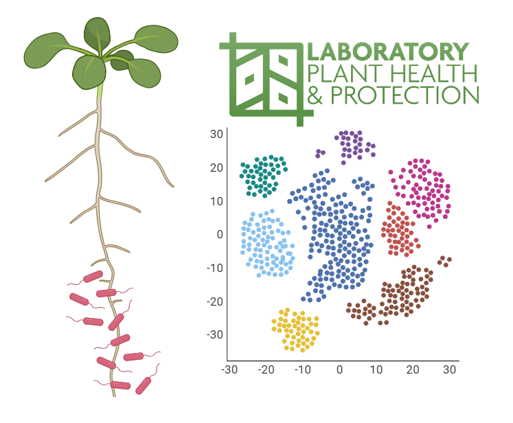Barbara De Coninck 🌱🌈 (@barbaraconinck) on Twitter photo My lab is recruiting a postdoc on an FWO/FNRS funded project. Interested in researching how secondary metabolites from beneficial bacteria trigger immune responses in plants? Apply here: kuleuven.be/personeel/jobs… <a href="/lab_php/">PHP-Lab 🍓🍅🌈</a> <a href="/CropBioLeuven/">Crop Biotechnics, KU Leuven</a> <a href="/LeuvenPlantInst/">KU Leuven Plant Institute</a> <a href="/biosystkuleuven/">BIOSYSTEMS Department -KU Leuven</a> My lab is recruiting a postdoc on an FWO/FNRS funded project. Interested in researching how secondary metabolites from beneficial bacteria trigger immune responses in plants? Apply here: kuleuven.be/personeel/jobs… <a href="/lab_php/">PHP-Lab 🍓🍅🌈</a> <a href="/CropBioLeuven/">Crop Biotechnics, KU Leuven</a> <a href="/LeuvenPlantInst/">KU Leuven Plant Institute</a> <a href="/biosystkuleuven/">BIOSYSTEMS Department -KU Leuven</a>