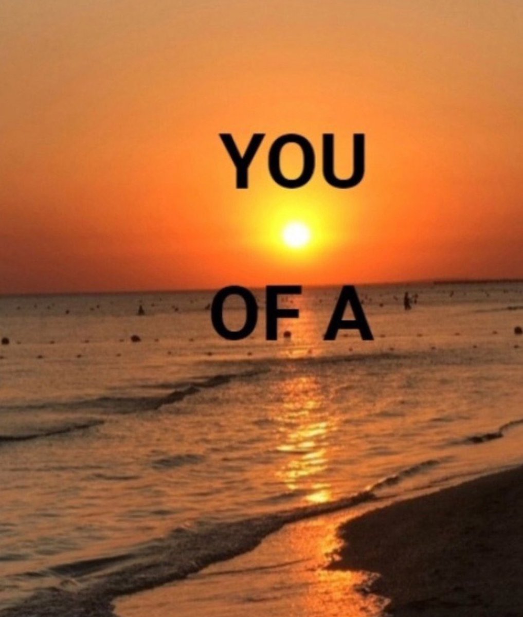 Out of Context Human Race (@nocontexthumans) on Twitter photo 