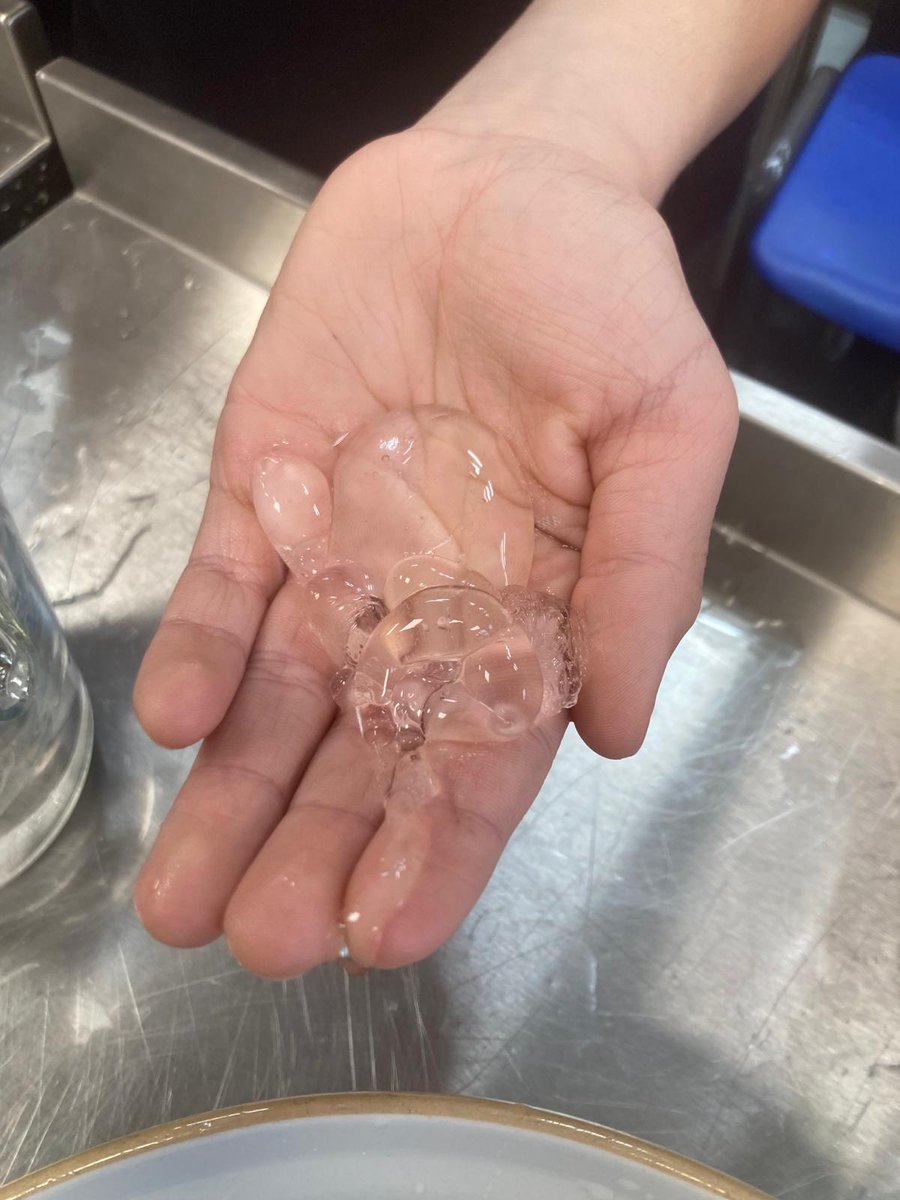 Olchfa Science and Technology (@scitecholchfa) on Twitter photo In this evening's STEM Club, our students made edible plastic water bottles. They combined food grade sodium alginate and calcium lactate to make them. #STEM #STEMeducation #scienceclub <a href="/Olchfaschool/">Olchfa School</a> In this evening's STEM Club, our students made edible plastic water bottles. They combined food grade sodium alginate and calcium lactate to make them. #STEM #STEMeducation #scienceclub <a href="/Olchfaschool/">Olchfa School</a>