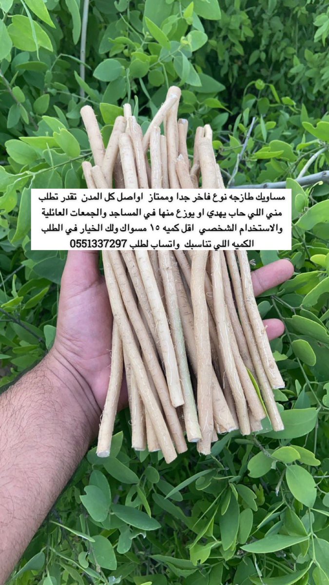 oha50's tweet photo. #فوازير_غازي_الذيابي2 
مساويك اراك طازجه ي اخون ممتازه وافضل انوع مساويك الاراك اللي حاب يطلب الان من المتجر متجر مساويك ابو حنش 

*للطلب بشكل أسرع من خلال المتجر* :

https://t.co/MQqrljqydb https://t.co/V3bu0YGUf6