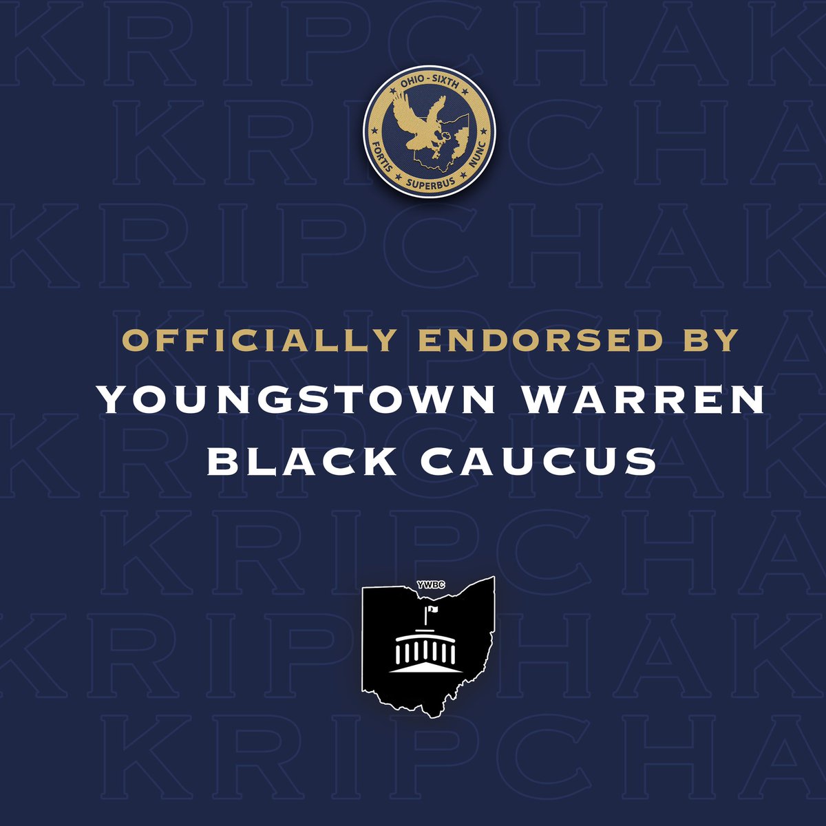 Proud to have been endorsed by the Youngstown Warren Black Caucus, and the Austintown Democrat Club, ahead of next week’s primary election.