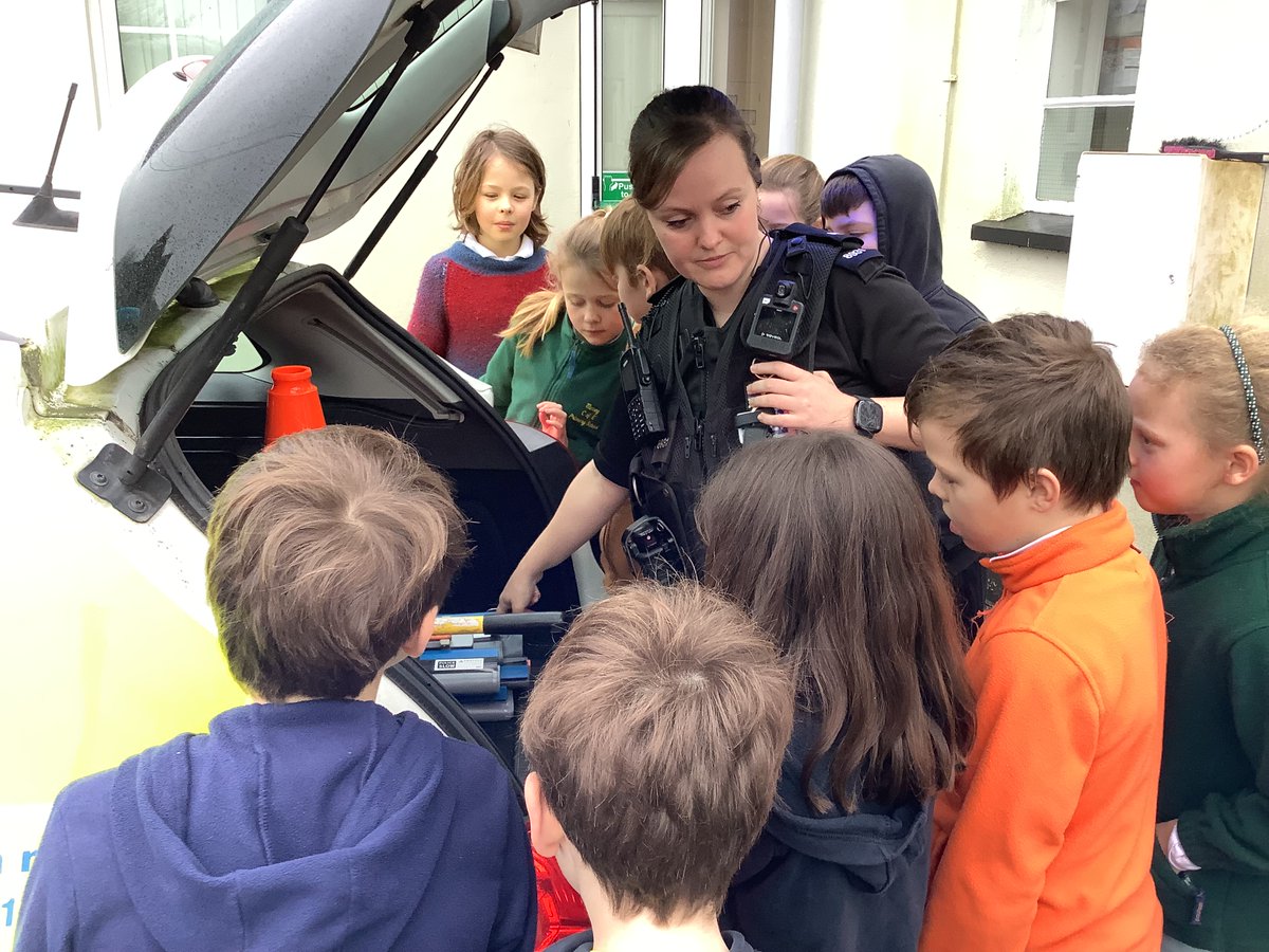 Meavy Primary School tweet media