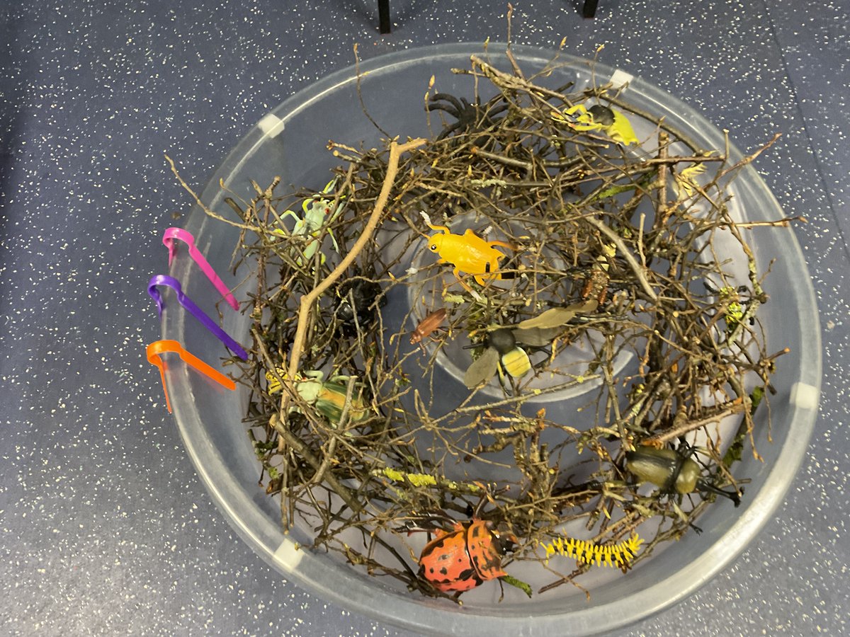 @greysbrookeATLP (@greysbrookeatlp) on Twitter photo Reception are learning about minibeasts - they have even learnt to use the magnifier on their iPads <a href="/the_atlp/">The Arthur Terry Learning Partnership (ATLP)</a> <a href="/LF_ATLP/">Learning Futures: The ATLP</a> Reception are learning about minibeasts - they have even learnt to use the magnifier on their iPads <a href="/the_atlp/">The Arthur Terry Learning Partnership (ATLP)</a> <a href="/LF_ATLP/">Learning Futures: The ATLP</a>