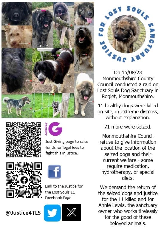 Justice4TLS's tweet image. In Annie's words
"My grief now is immeasurable.  I don’t sleep, I think about them all the time.  The fact that I couldn’t protect them which is something I promised I would always do.  
1/3