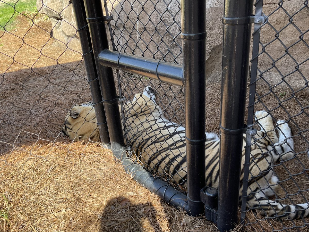 Christine L. 🐋 tweet media