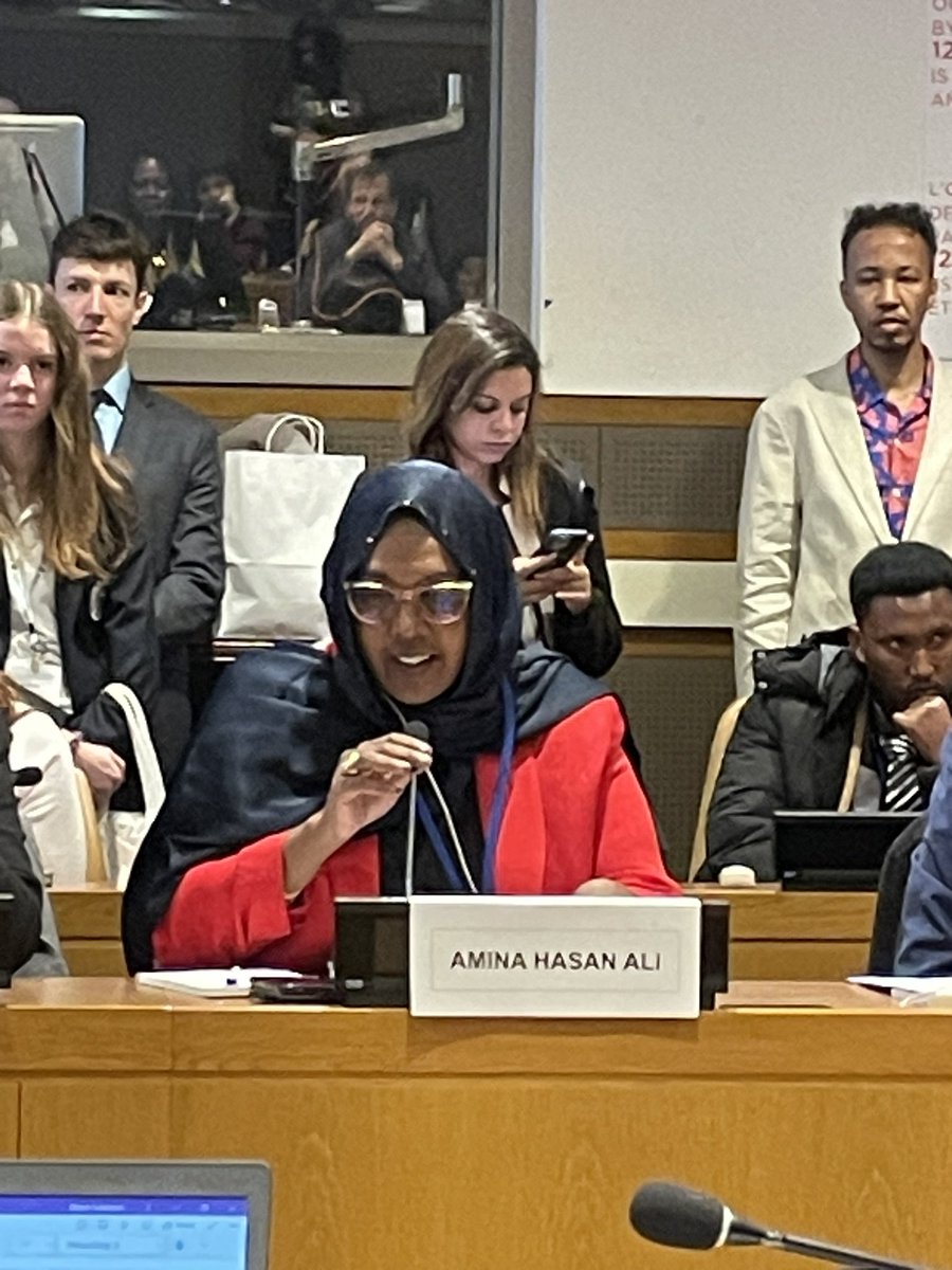 Today in NYC, #Somalia’s Minister from @MwomenHRD spoke to a packed room in an event hosted by @gnwp_gnwp, co-sponsored by #Canada, about the cost effectiveness of including women in peacebuilding processes. Want a long-term, sustainable resolution? Include women. #plainandsimple