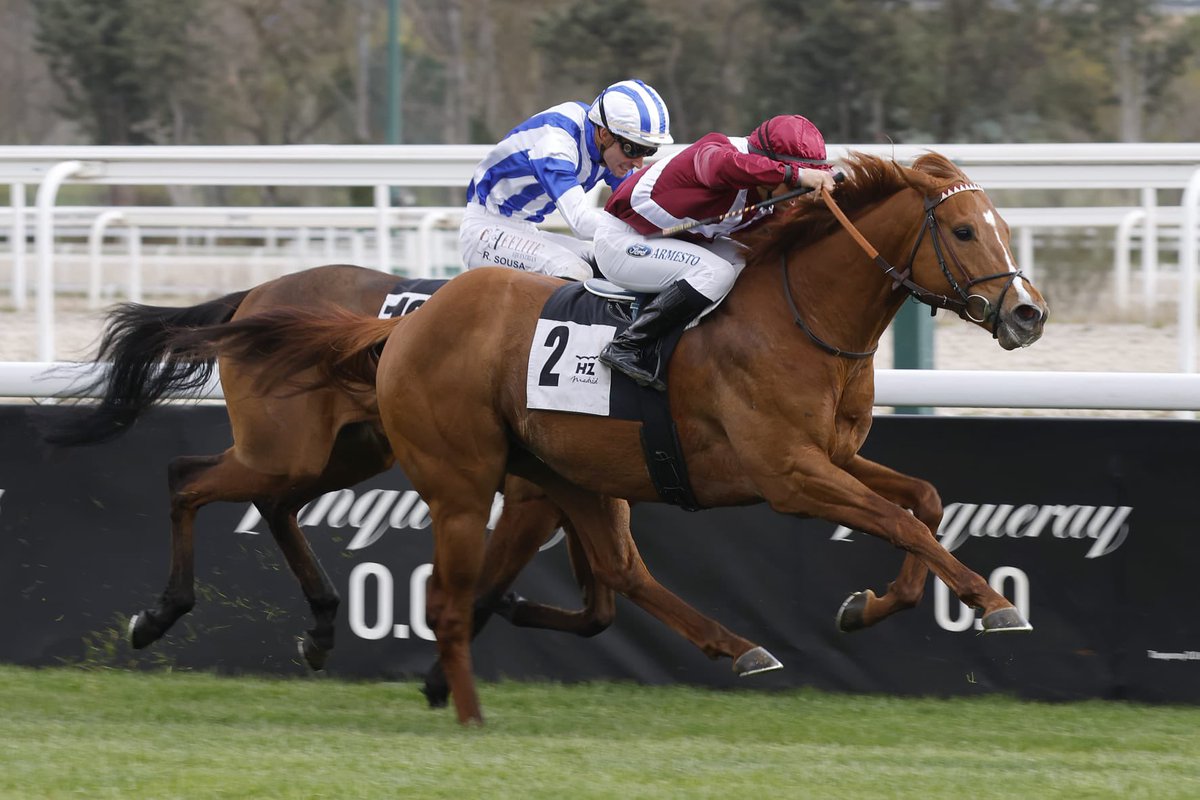GerardoGrupo1's tweet photo. Como diría un amigo, que la sangre de Teresa (Rheffíssimo) siga regando nuestras pistas.

𝗖𝗜𝗡𝗘 𝗔𝗕𝗜𝗘𝗥𝗧𝗢 (Mekhtaal), 🥇 Premio @ConchitaMTurf. Bravo por @jgelabertb y @JLMarotoracing.

Con amigos, siempre mejor. #CuadraAnimusDomini.

📷 @MarcosCarmena y @Rafalorente10 https://t.co/ZzX7ZEotm8