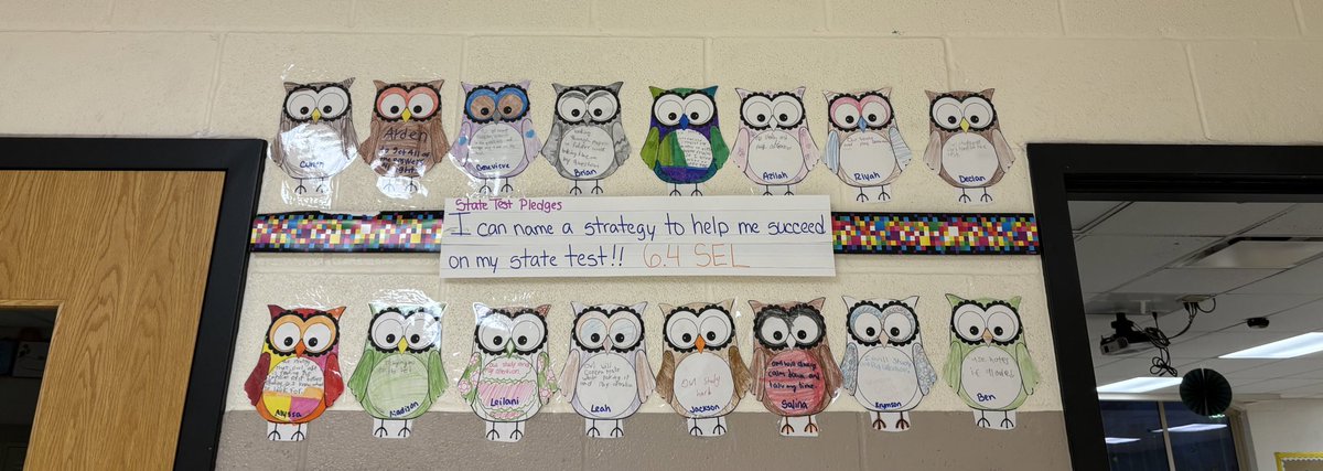 MsJackson_6's tweet photo. preparing for state testing 🦉📚 https://t.co/j2tsgbpun9