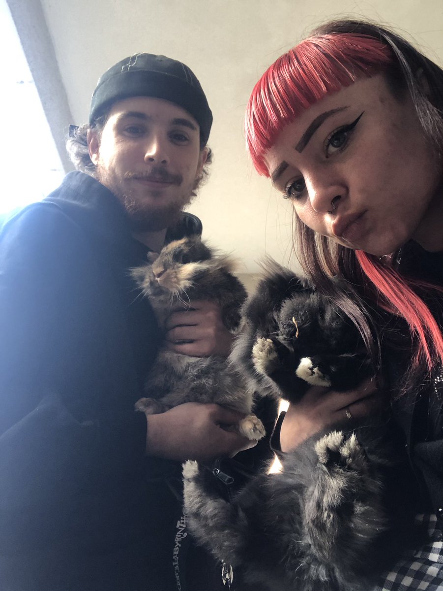badxchild's tweet photo. Les 3 amours de ma vie sur la même photo!!!!! 🧡 https://t.co/e2oFISJMuW