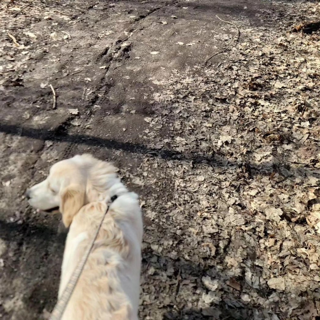 JonHuttonReMax's tweet photo. How could I pass up the opportunity to take advantage of this weather on a nice lunch break?! Teddy didn't mind either!  #goruck #rucklife #hiking #oldmanhutton #remaxrunner https://t.co/MKV5hVgVWB